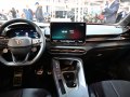 Cupra Terramar Terramar — 51