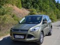 zdjęcie Kuga