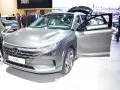 Hyundai Nexo Nexo I — 9
