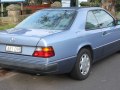 zdjęcie W124