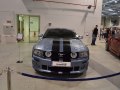 zdjęcie Mustang