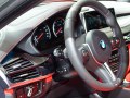 zdjęcie X6 M