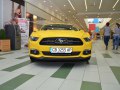 zdjęcie Mustang