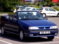 19 Cabriolet (D53) (facelift 1992)