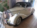 zdjęcie W136