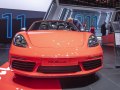 zdjęcie 718