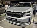 zdjęcie Kodiaq