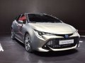 zdjęcie Auris