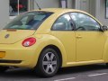 zdjęcie Beetle