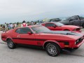 zdjęcie Mustang