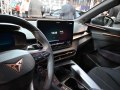 Cupra Terramar Terramar — 55