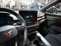 Cupra Terramar Terramar — 55