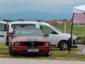 zdjęcie Mustang