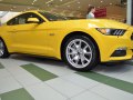 zdjęcie Mustang