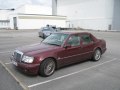 zdjęcie W124