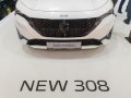 zdjęcie 308