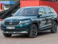 Skoda Kodiaq Kodiaq I Scout — 8