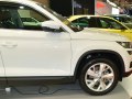 zdjęcie Kodiaq