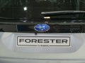 zdjęcie Forester