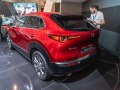 zdjęcie CX-30