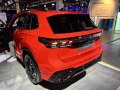 zdjęcie Tiguan