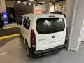 Fiat Doblo Doblo III (K9) — 11