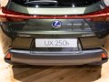 zdjęcie UX