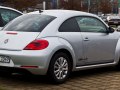 zdjęcie Beetle
