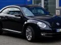 Volkswagen Beetle Beetle (A5) — 8
