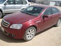Caprice VI