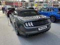 zdjęcie Mustang