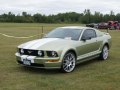 zdjęcie Mustang