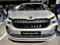 zdjęcie Kodiaq