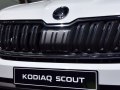 zdjęcie Kodiaq