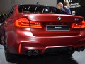 zdjęcie M5