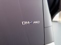 zdjęcie D9