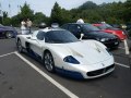 zdjęcie MC12