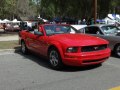 zdjęcie Mustang