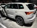 Skoda Karoq Karoq (facelift 2021) — 21