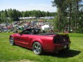 zdjęcie Mustang