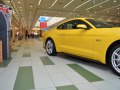 zdjęcie Mustang