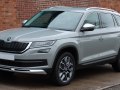 zdjęcie Kodiaq