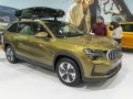 zdjęcie Kodiaq