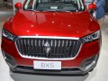 zdjęcie BX5