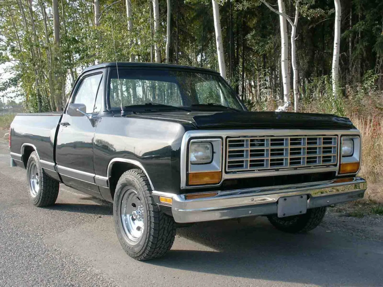 Dodge RAM Ram 150 Conventional Cab Short Bed (D/W) – Vehicle