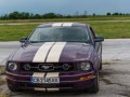 zdjęcie Mustang