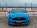 zdjęcie Mustang
