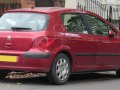 zdjęcie 307
