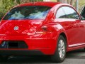 zdjęcie Beetle