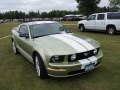 zdjęcie Mustang